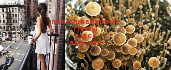 кокаин VHQ Богданович