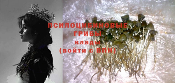 сатива Богородицк